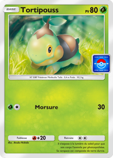 Carte Pokémon TCG Pocket Promo-A Tortipouss