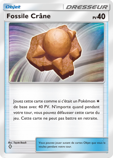 Fossile Crâne